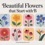 Flowers That Start With B