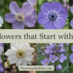 Flowers That Start With J