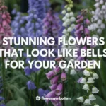 Flowers That Look Like Bells