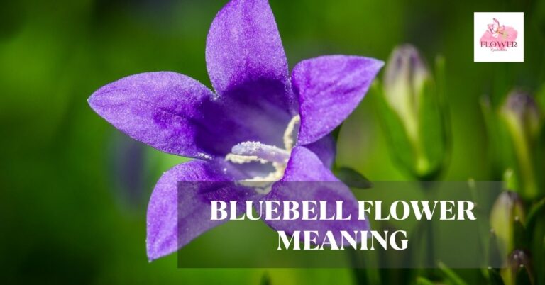 bluebell flower meaning