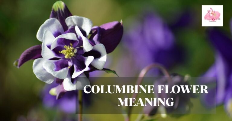 columbine flower meaning