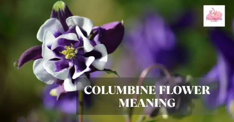 columbine flower meaning