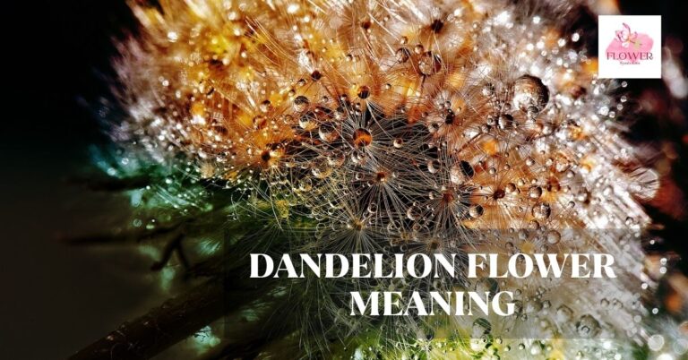 dandelion flower meaning