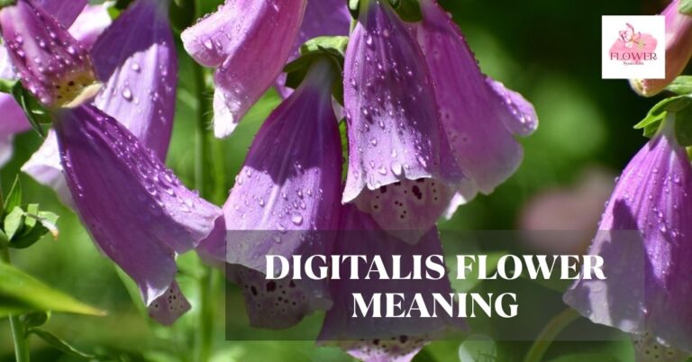 digitalis flower meaning