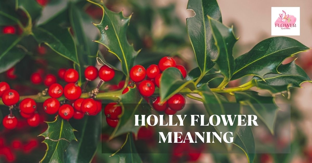 holly flower meaning