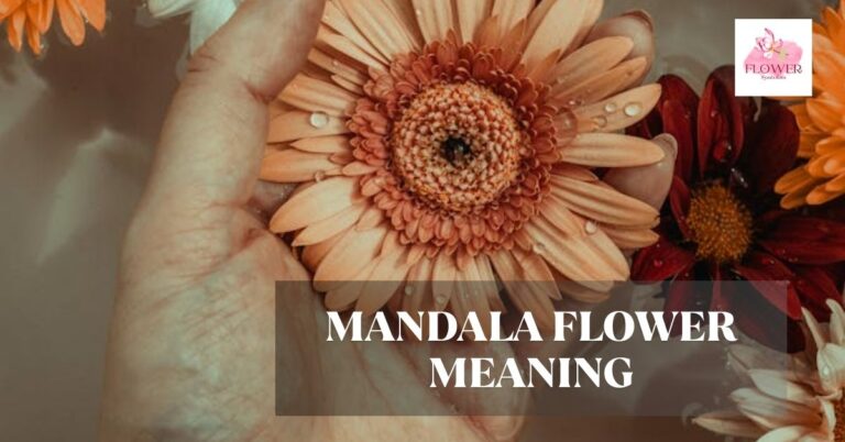 mandala flower meaning