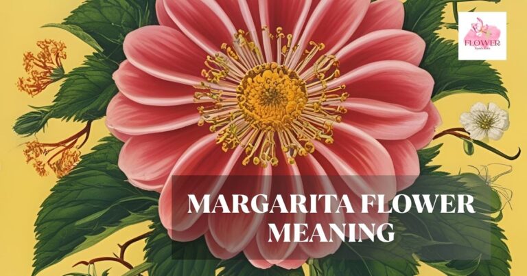 margarita flower meaning