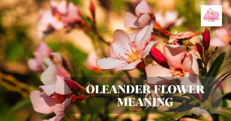 oleander flower meaning
