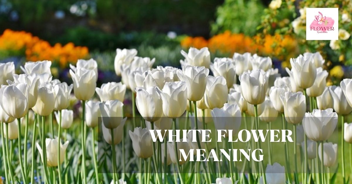 white flower meaning