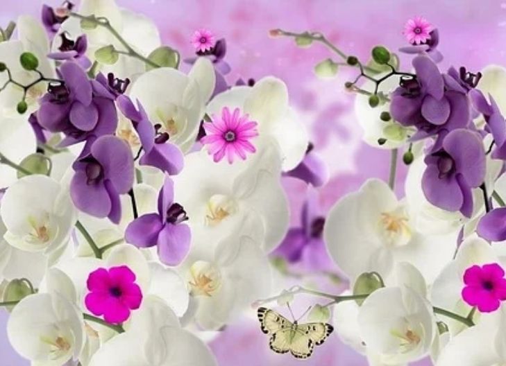 Spiritual meaning of white orchid