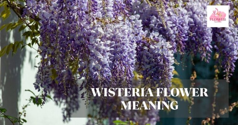 wisteria flower meaning