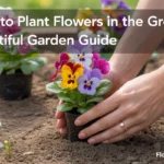 how to plant flowers in the ground
