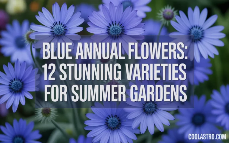 Blue Annual Flowers