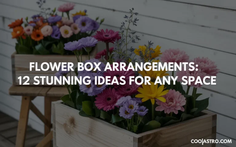 Flower Box Arrangements