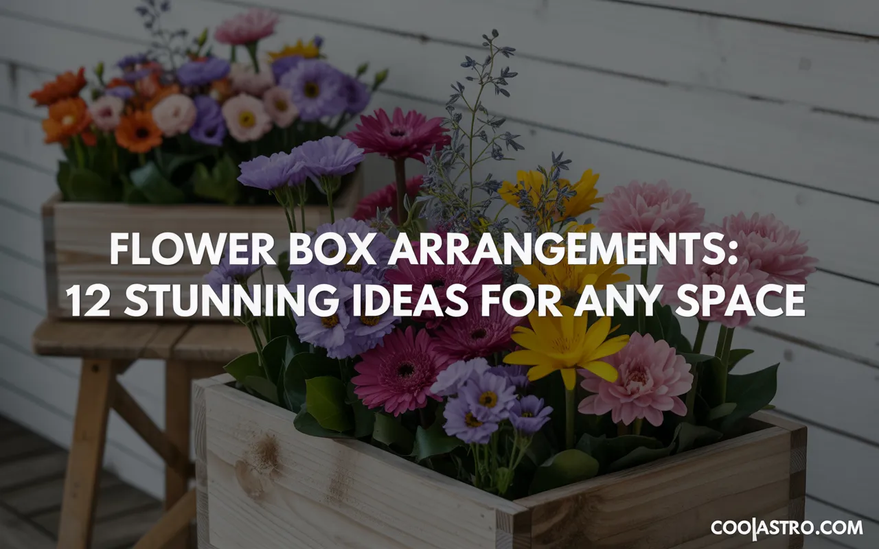Flower Box Arrangements