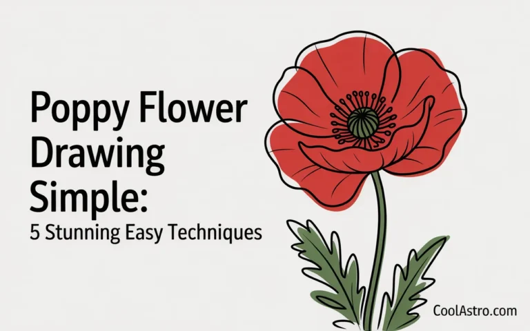 Poppy Flower Drawing Simple
