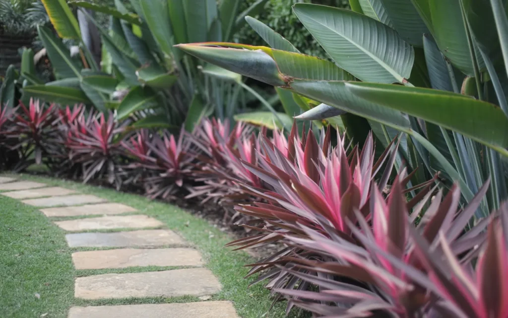 Birds Of Paradise Backyard