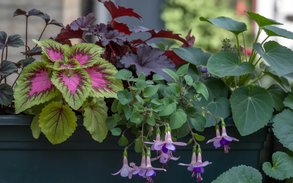 Balcony Flower Box