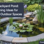 Small Backyard Pond