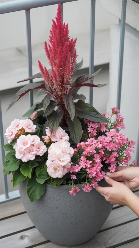 Pink Flowers-on-Balcony