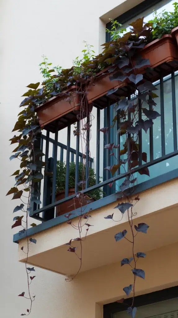 Flowers-On-Balcony-Railing