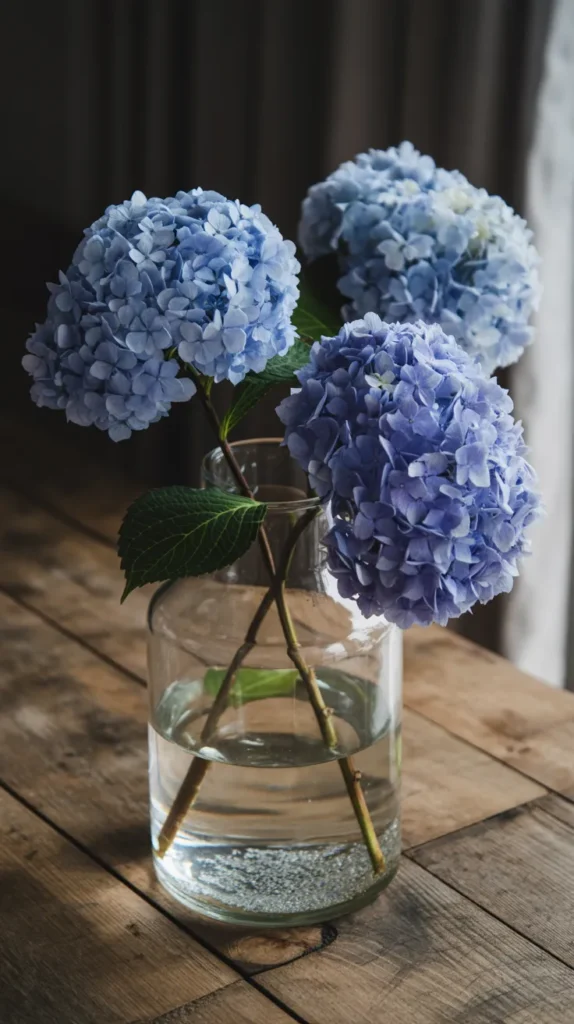 How To Dry Hydrangea Flowers