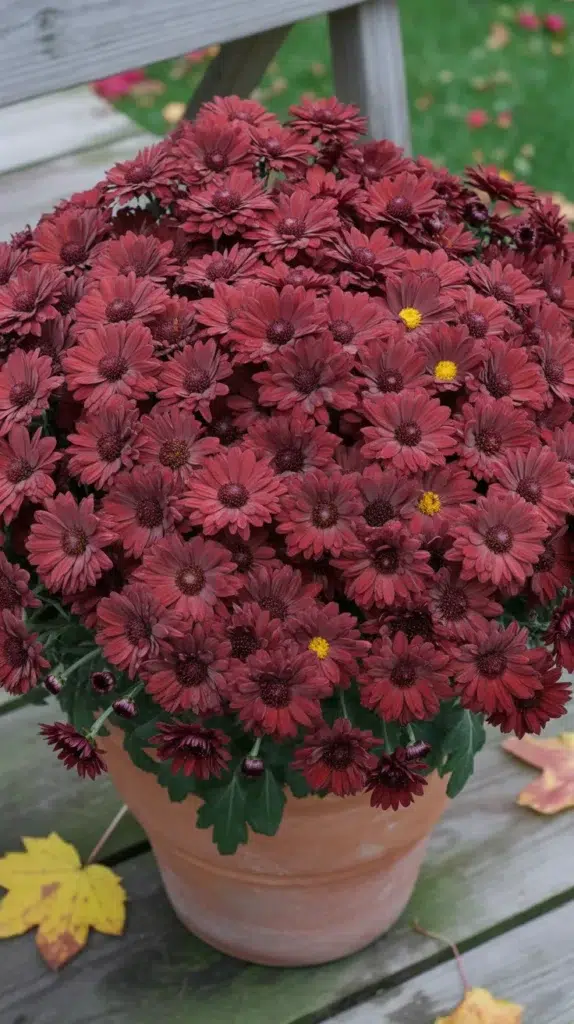 Colorful-Fall-Flowers