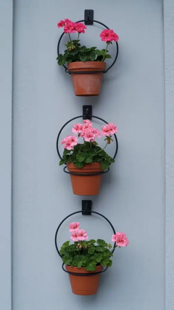 Hanging Flowers-Balcony