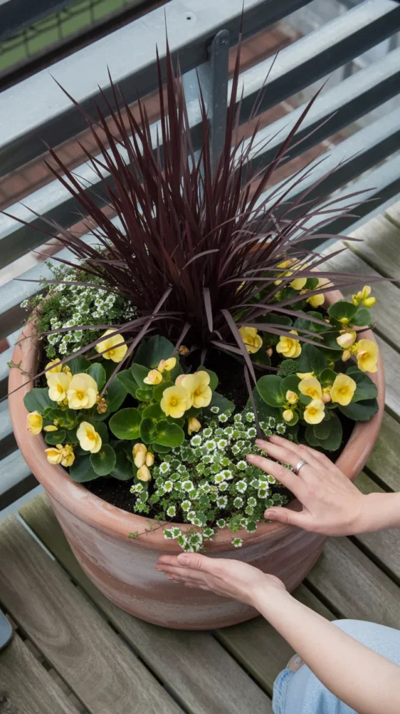 Small-Balcony-Flowers