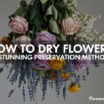 how to dry flowers