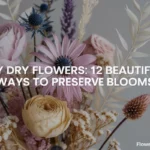 diy dry flowers