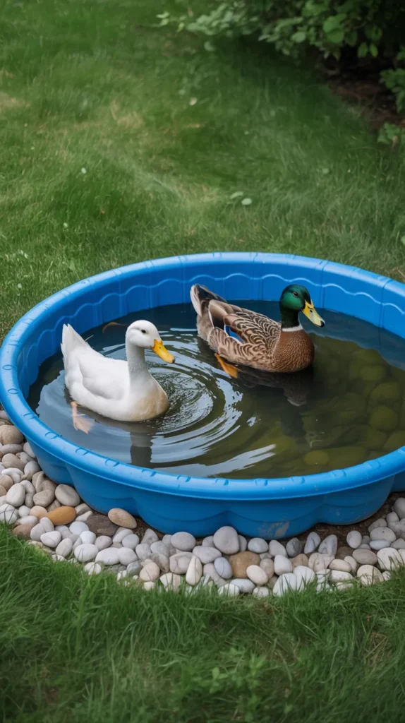 Small Duck Pond Ideas: 12 Charming Designs For Your Garden