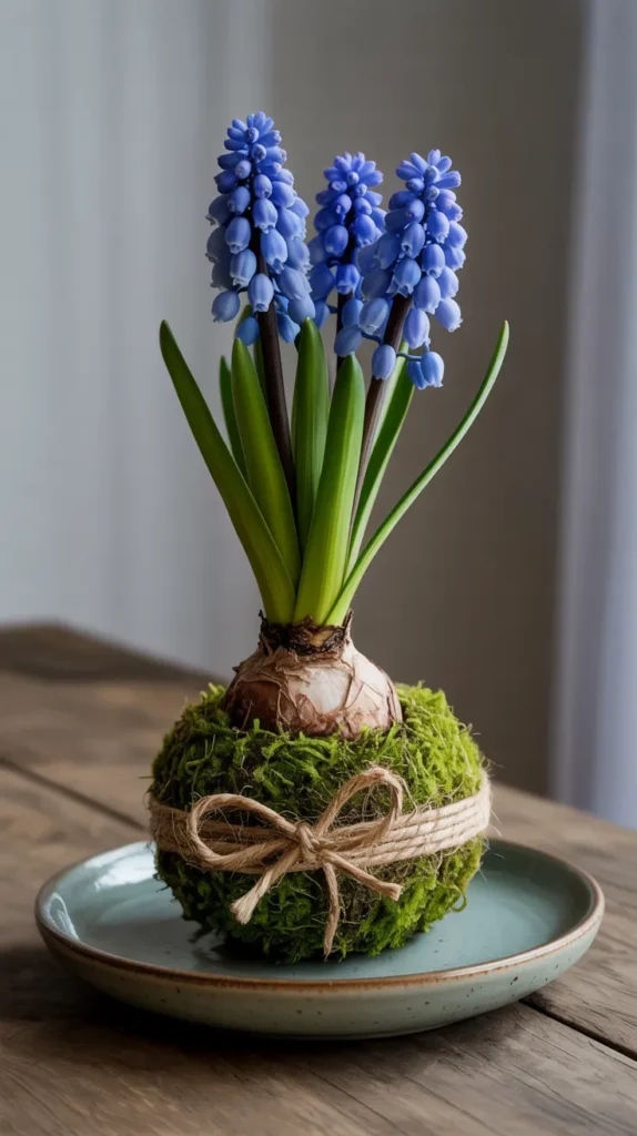 Flower-Bulbs-Indoors