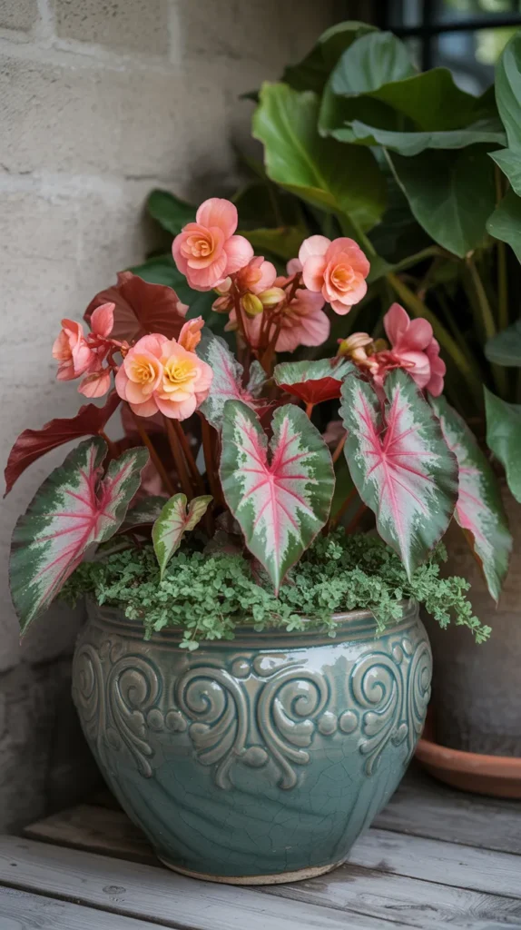 Flower-Bulbs-in Pots